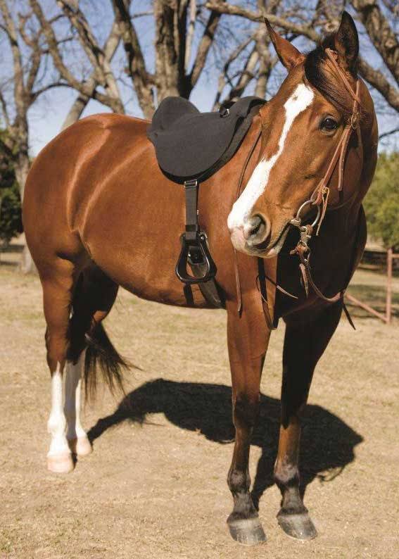 Soft Ride Saddle 14in/15in G824