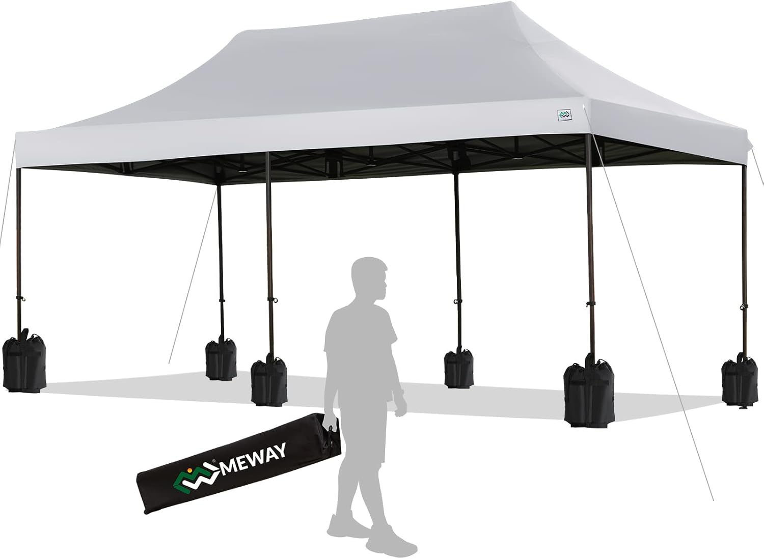 Royal Blue 10 x 10 Ft Canopy Tent with Wheeled Bag N741109