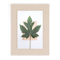 Four Hands Dresser T616457