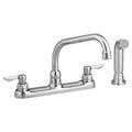 Polished Chrome Kitchen Faucet F73913