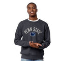 Penn State Nittany Lions League Stadium Crew N866