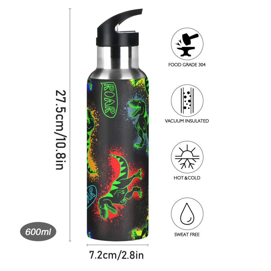 Stainless Steel Insulated Water Bottle with Straw Lid M661