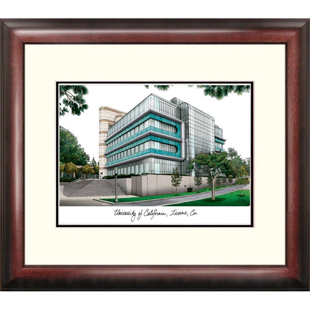 Framed Lithograph B3411