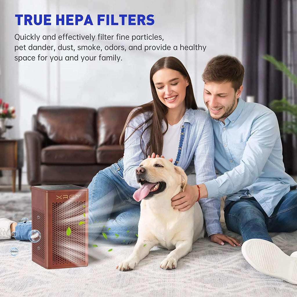 Walnut Wooden Air Purifier with H13 True HEPA Filter I183416