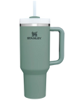 Stainless Steel Vacuum Insulated Tumbler with Lid and Straw R611
