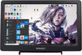 10.1 inch Full HD IPS Monitor C639140