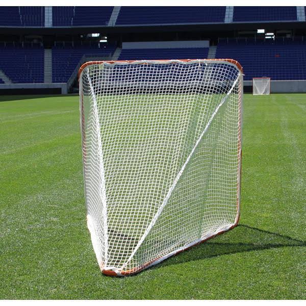 Lacrosse Goal F1879
