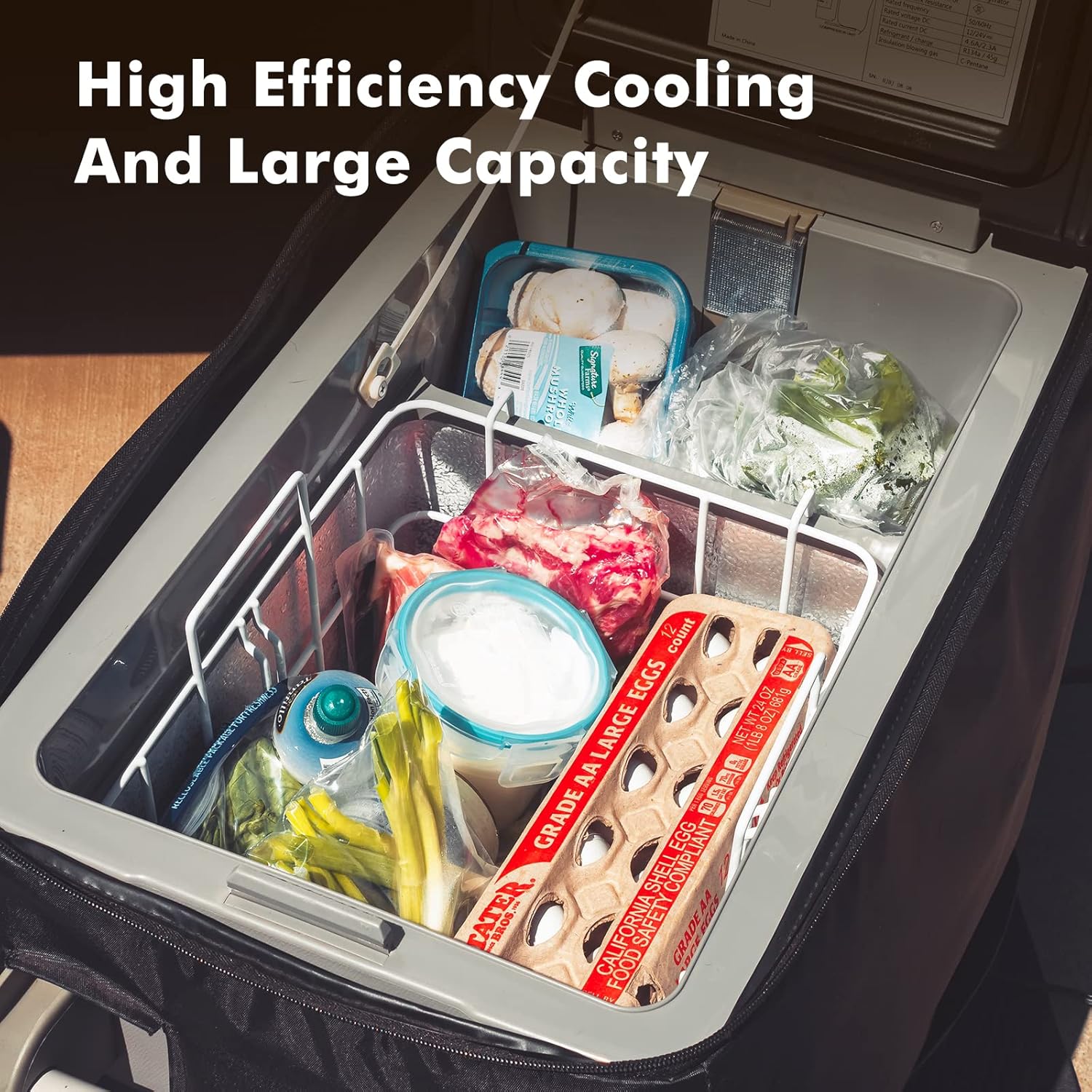 Portable Freezer Fridge, 12 volt Refrigerator, 42 Quarts X80789