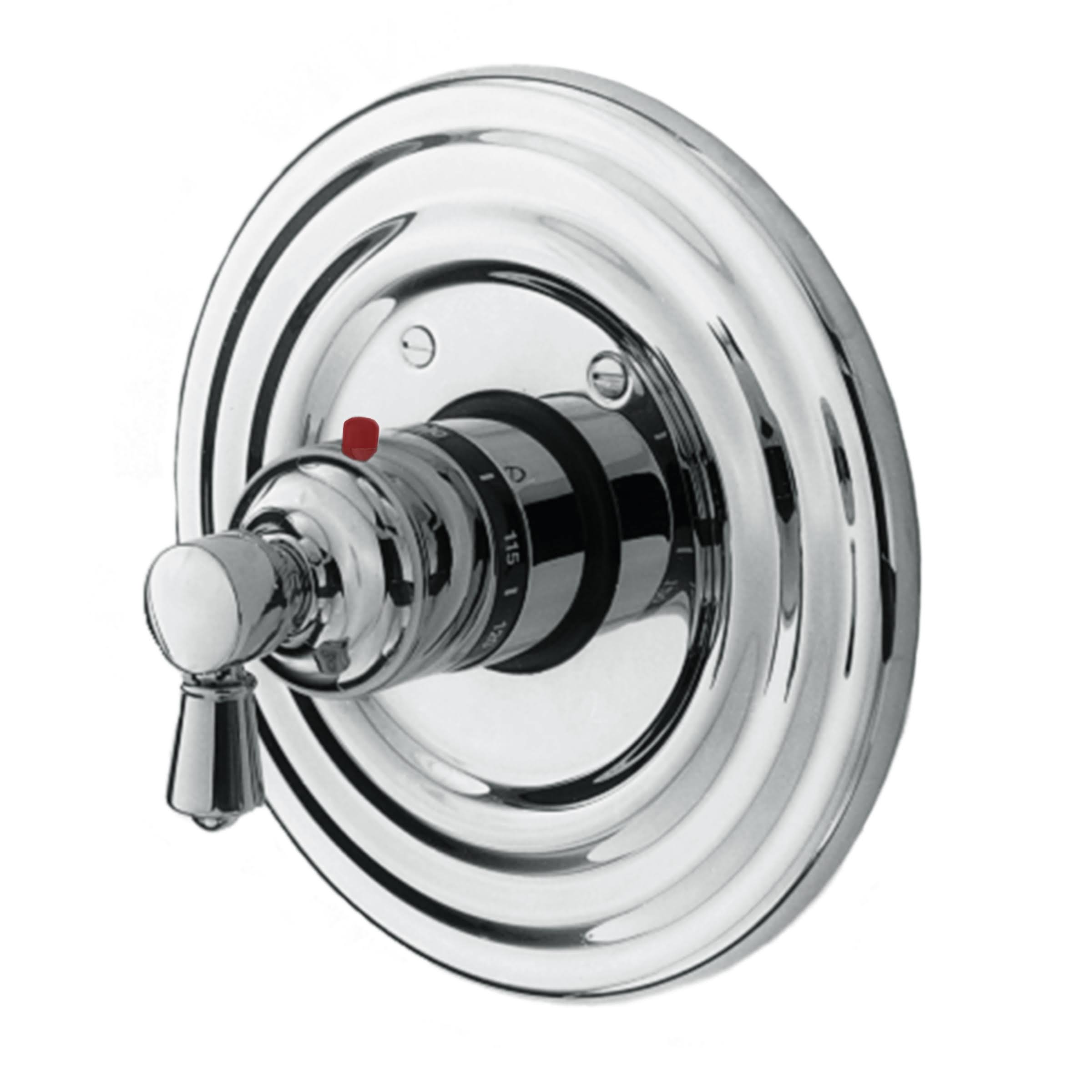 Stainless Steel Thermostatic Trim Plate with Handle N570203