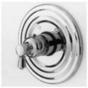 Stainless Steel Thermostatic Trim Plate with Handle N570203