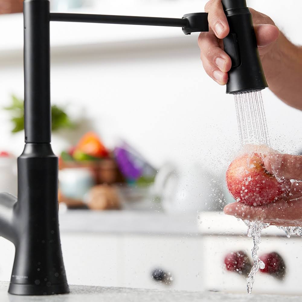 Steel Optic Kitchen Faucet T196
