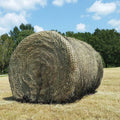 Hay Net F57150