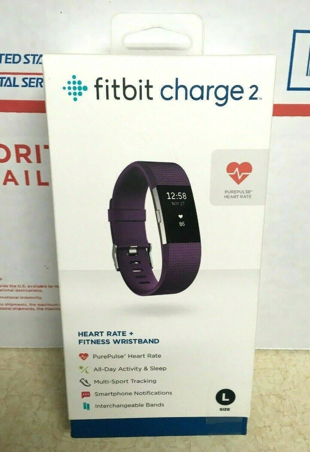 Plum Fitness Wristband Z804763