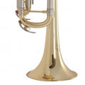 TR711 Trumpet V3653