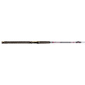 Silver Cat Magnum 10 ft Spinning Rod Z565917