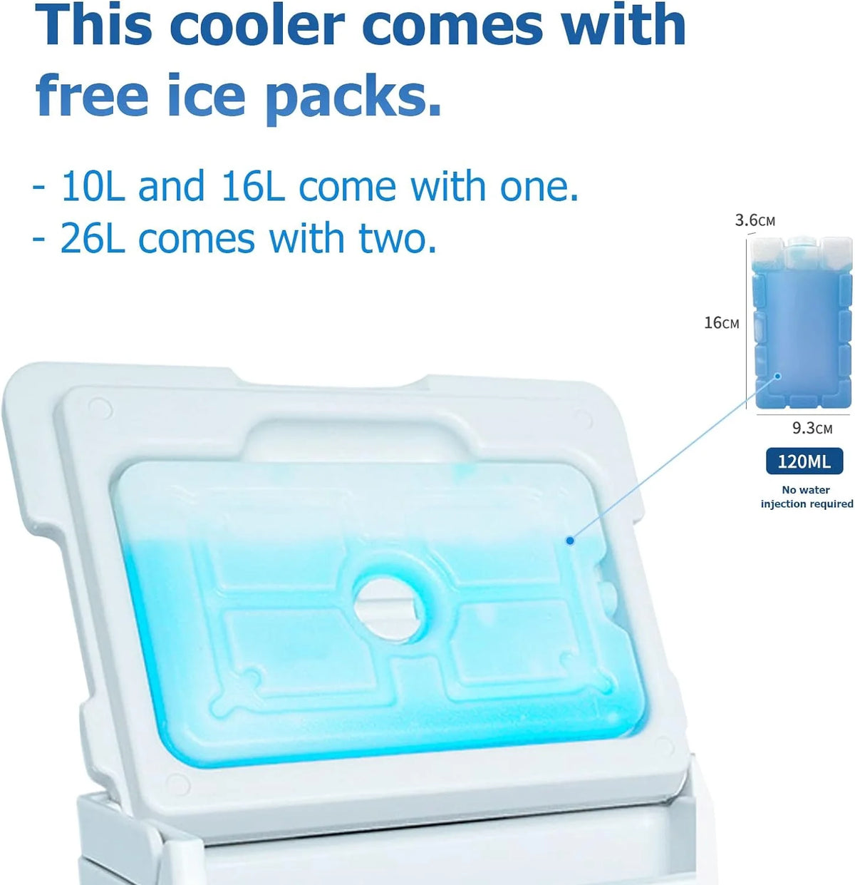 Insulated Hard Cooler Ice Chest Box S873348
