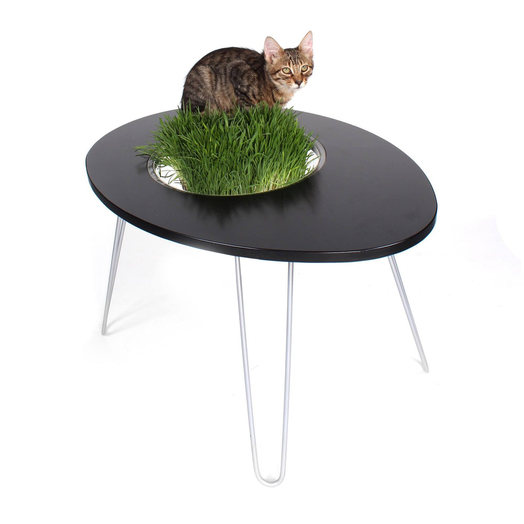 Raised Cat Bed and Side Table O45102