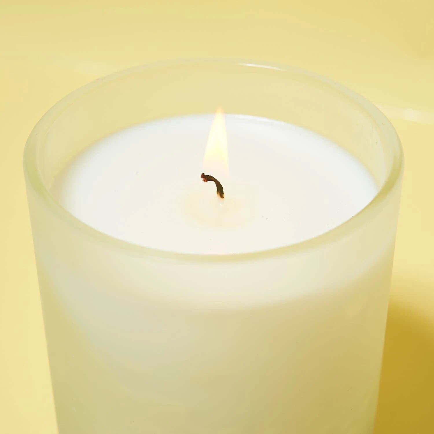 Tomato Tarragon Market Candle N95653