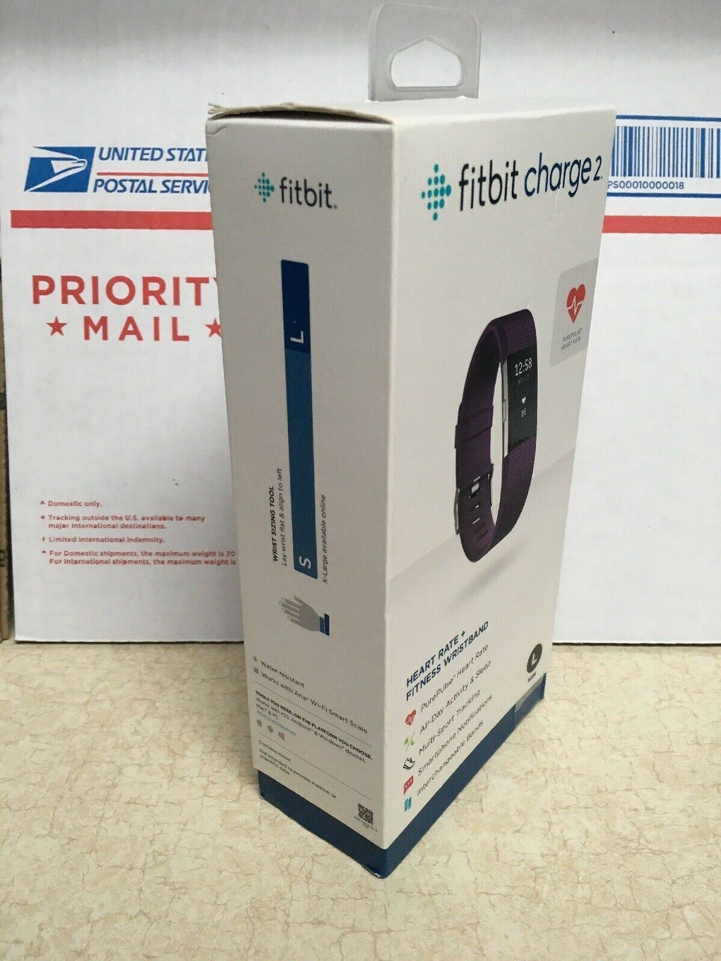 Plum Fitness Wristband Z804763