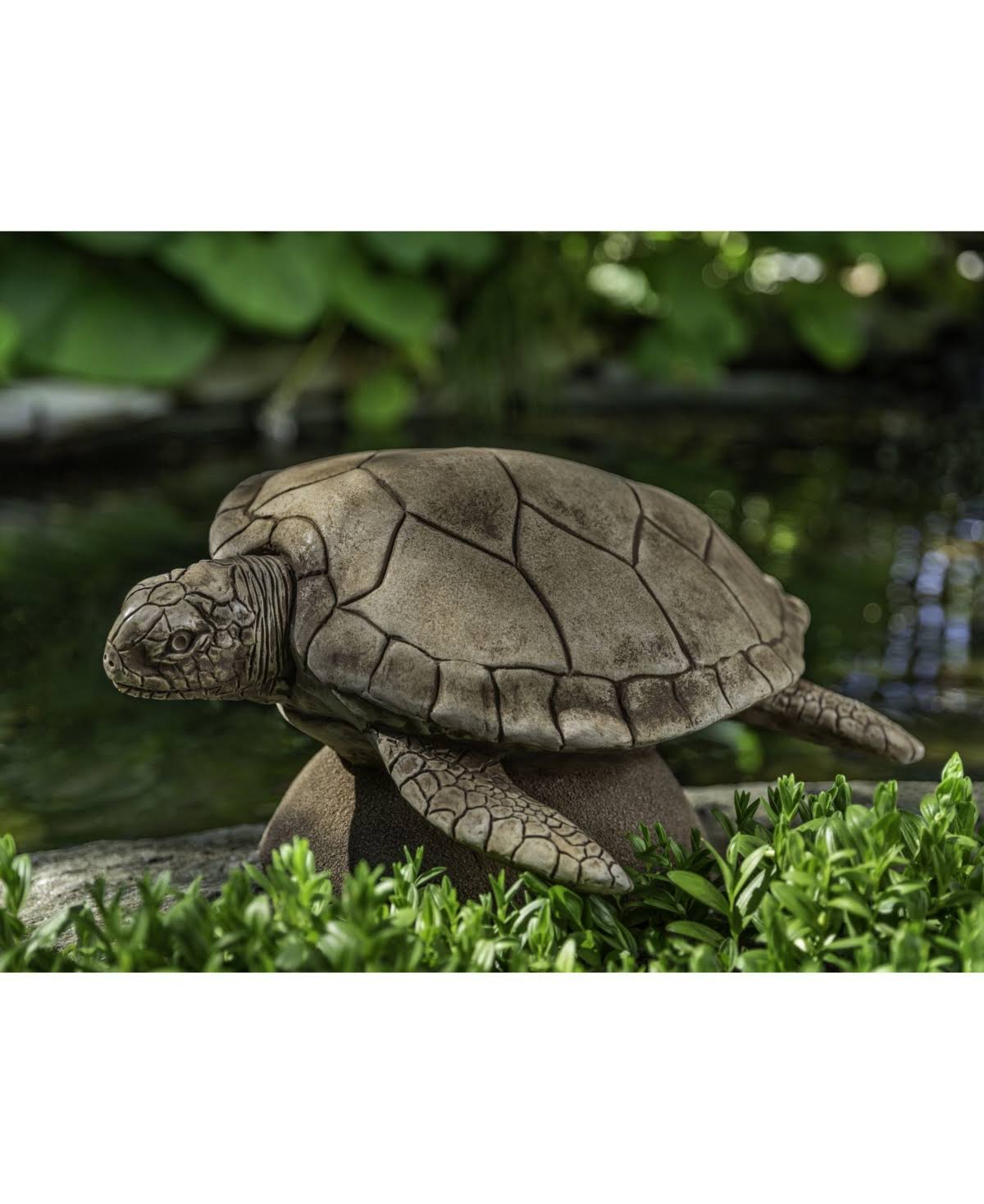 Cast Stone Sea Turtle S116299
