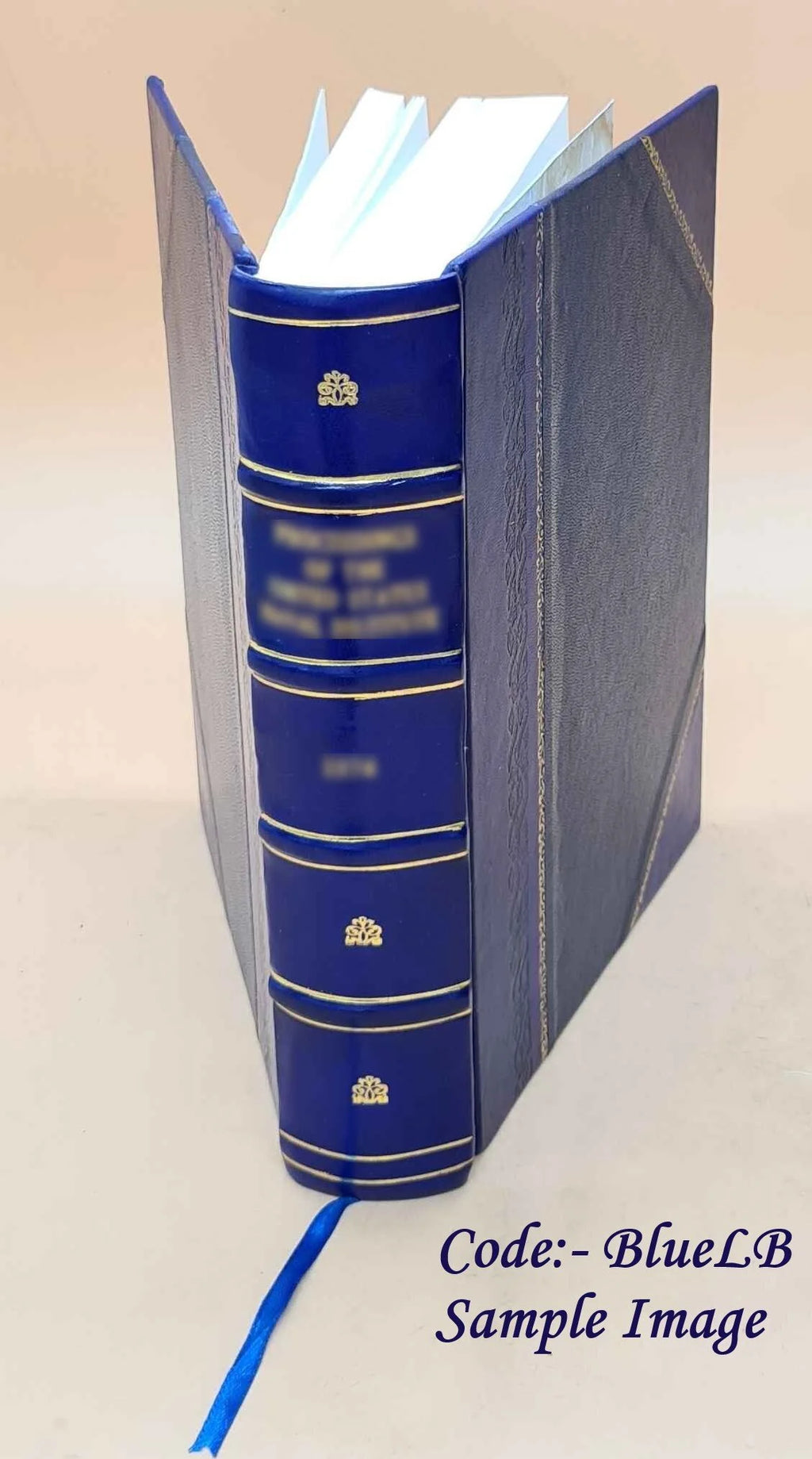 Leather Bound Book S2836