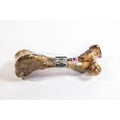 Femur Bone - Pack of 10, Size: 22 Q32577