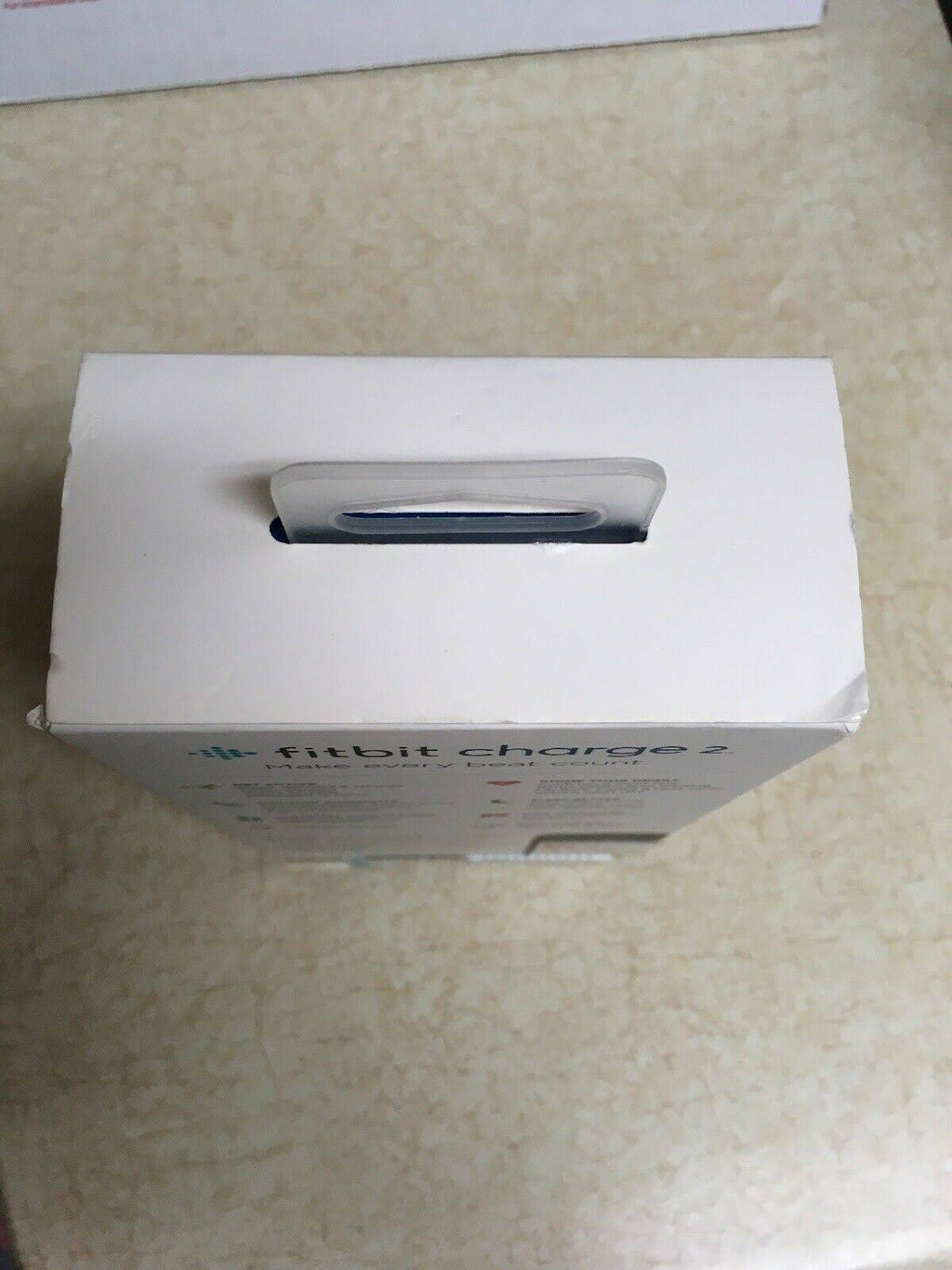 Plum Fitness Wristband Z804763