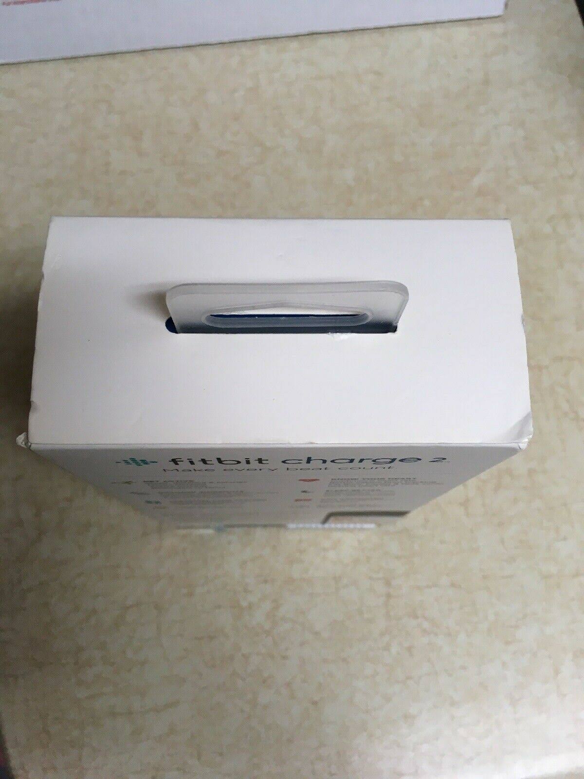 Plum Fitness Wristband Z804763