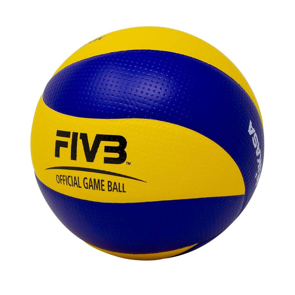 Blue/Yellow Olympic Game Ball R116201