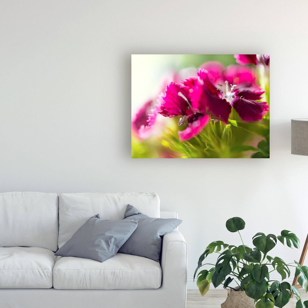 Canvas Art O448364