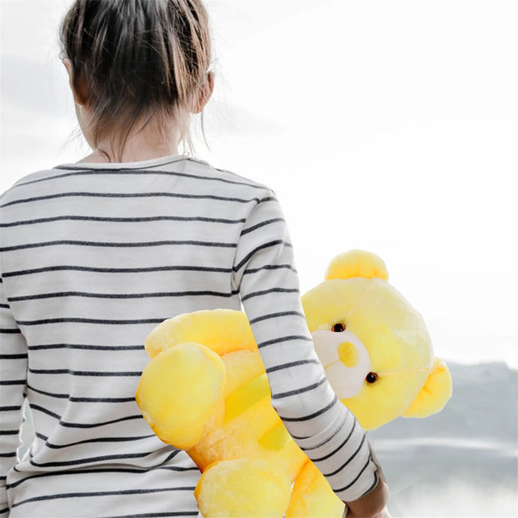 Colorful Glowing LED Teddy Bear Plush Toy V42654