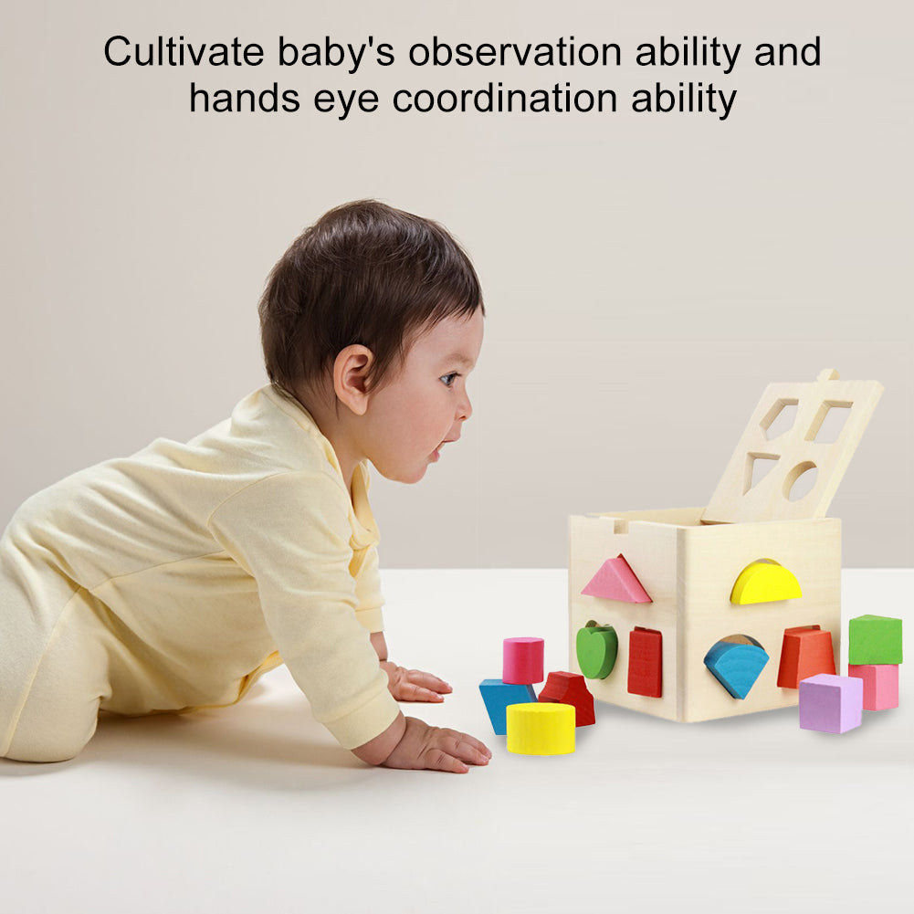Wooden Building Blocks Shape Sorter Toy Y310309