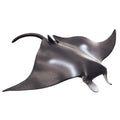 Manta Ray Wildlife Figurine J95555