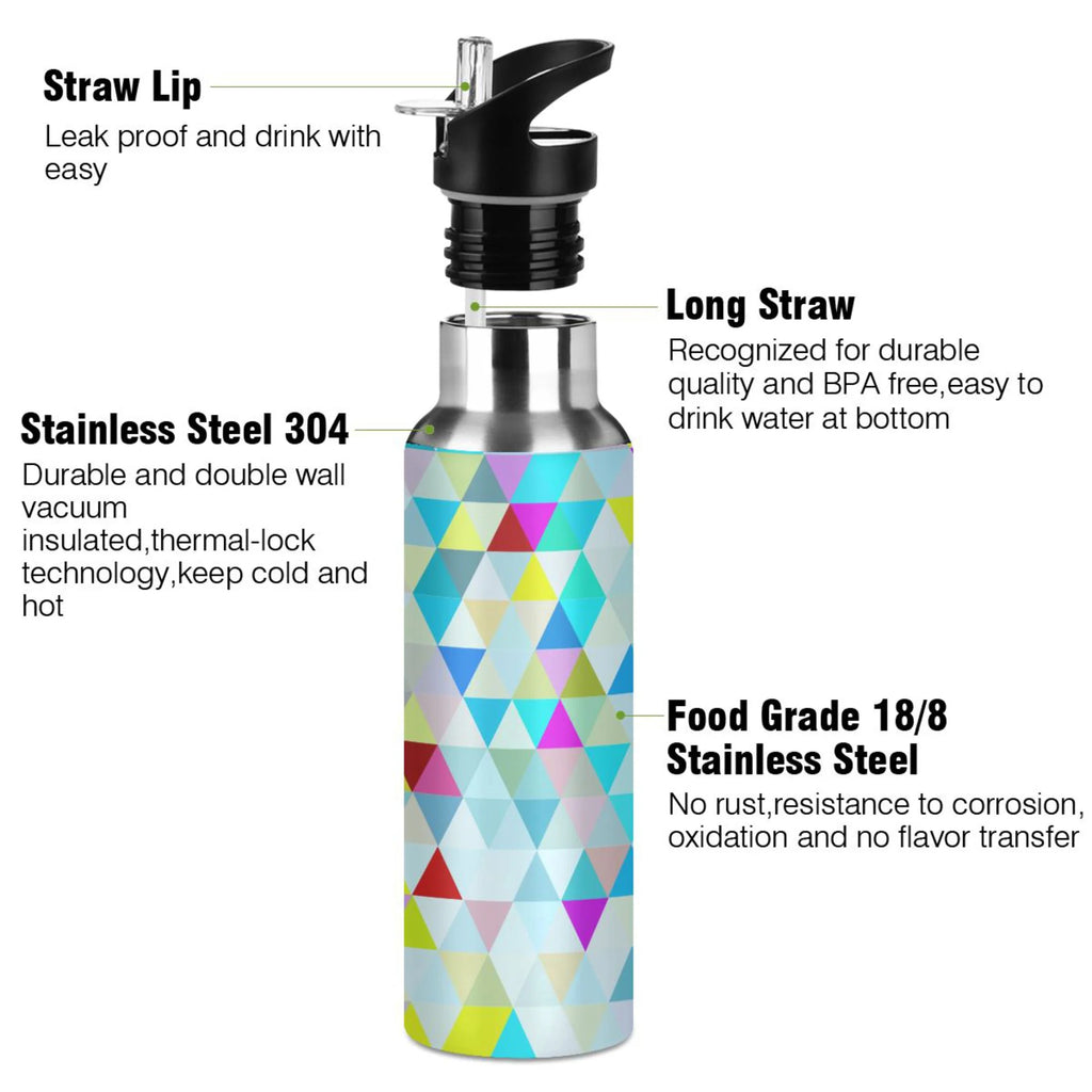 20 oz Insulated Stainless Steel Water Bottle with Straw Lid L437