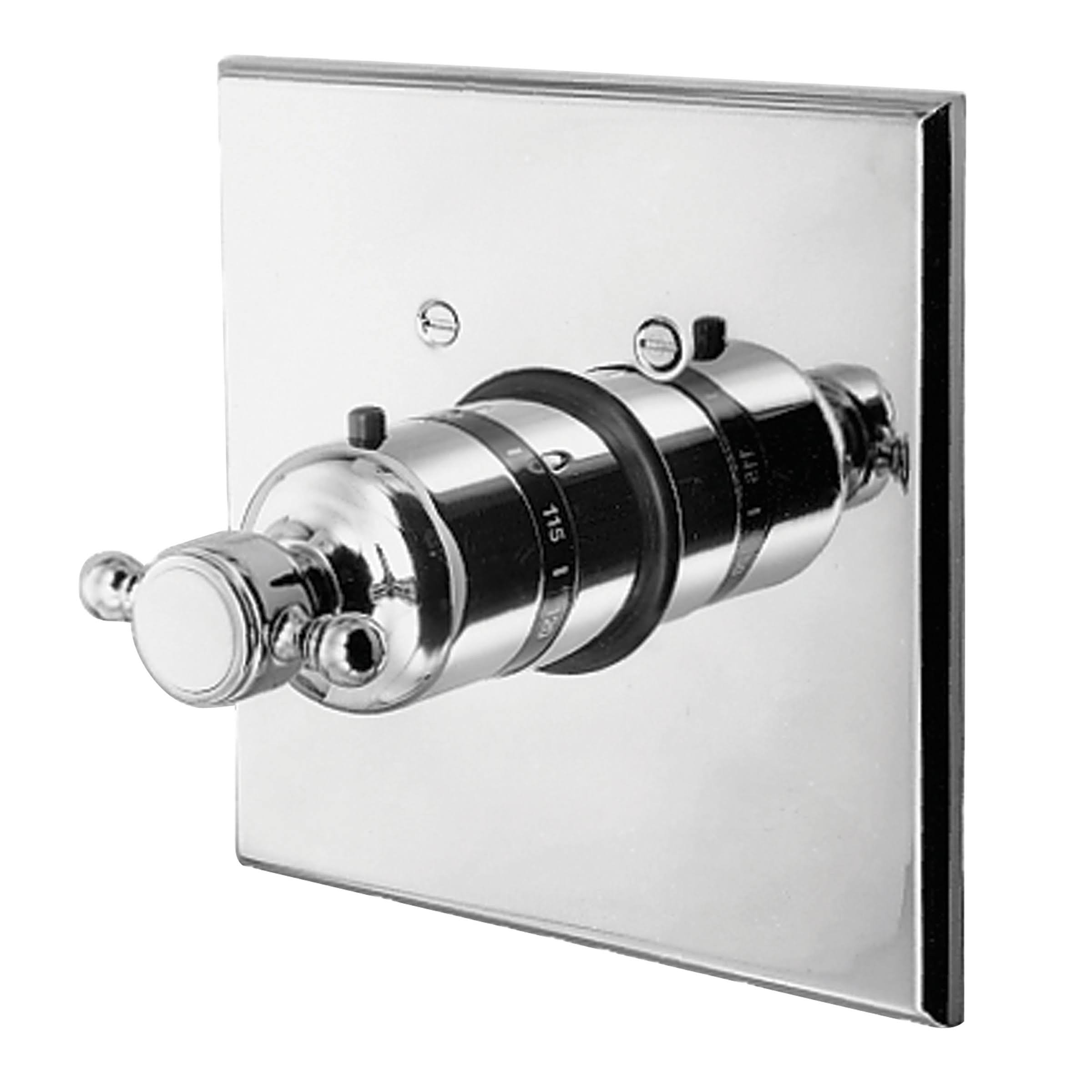 Matte White Thermostatic Trim Plate with Handle S936568