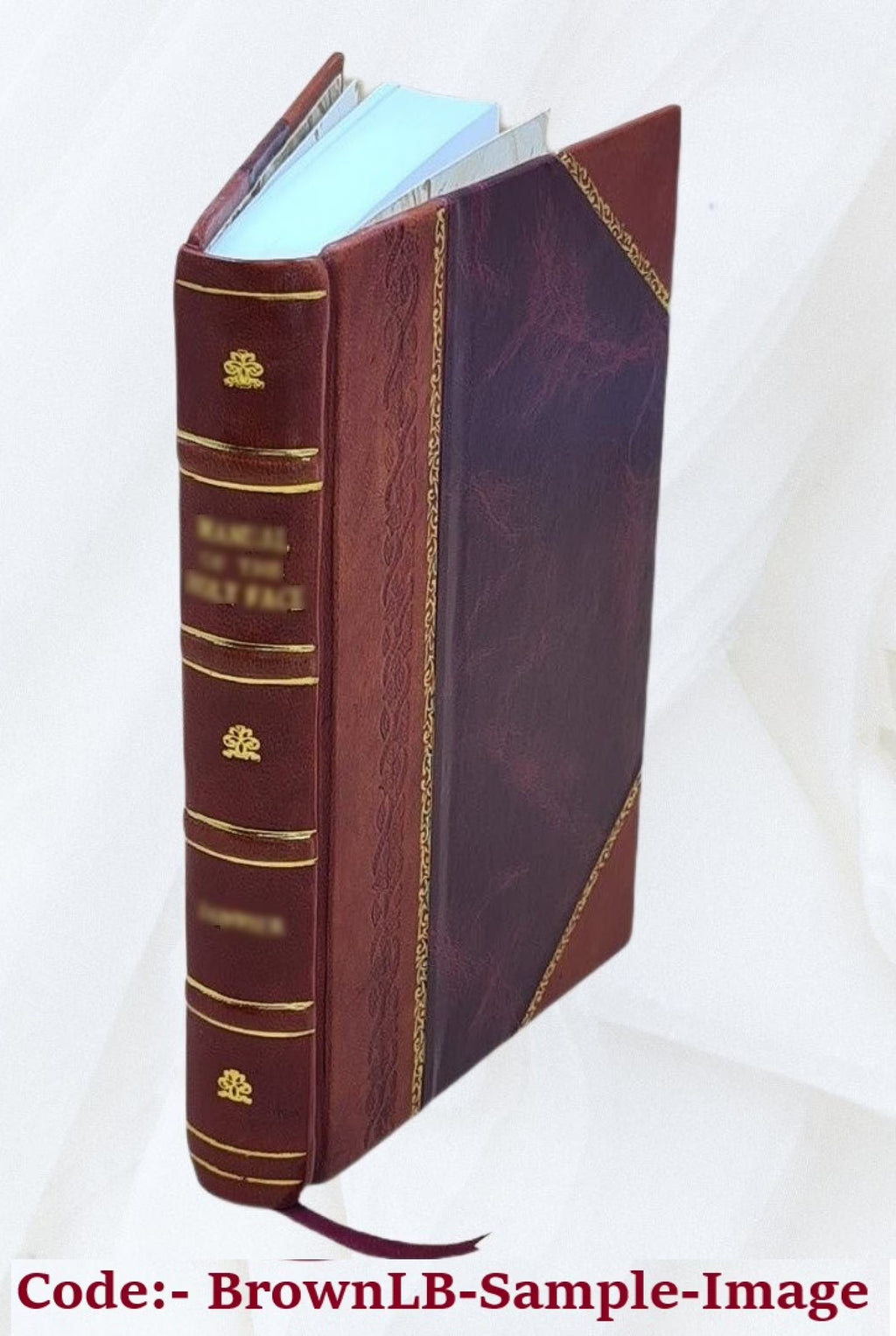 Proceedings of the Board of West Chicago Park Commissioners, also, when sitting and acting as a Board of Local Improvements. Volume 1912 [Leather Bound] F481638