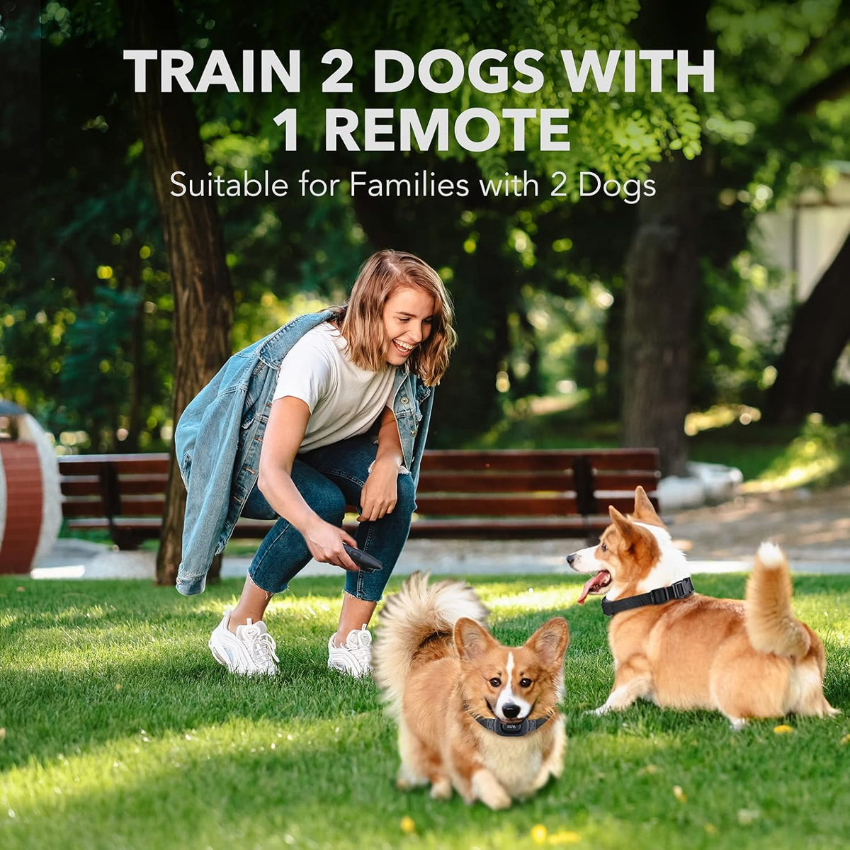 Rechargeable Dog Training Collar with Remote, 2 Receivers, Pack of 2 S236