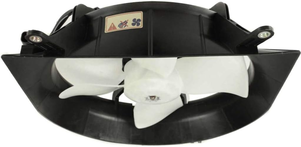 Radiator Cooling Fan Assembly C5553