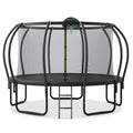 1200LBS 12FT Round Trampoline with Enclosure, Basketball Hoop, Ladder M399329