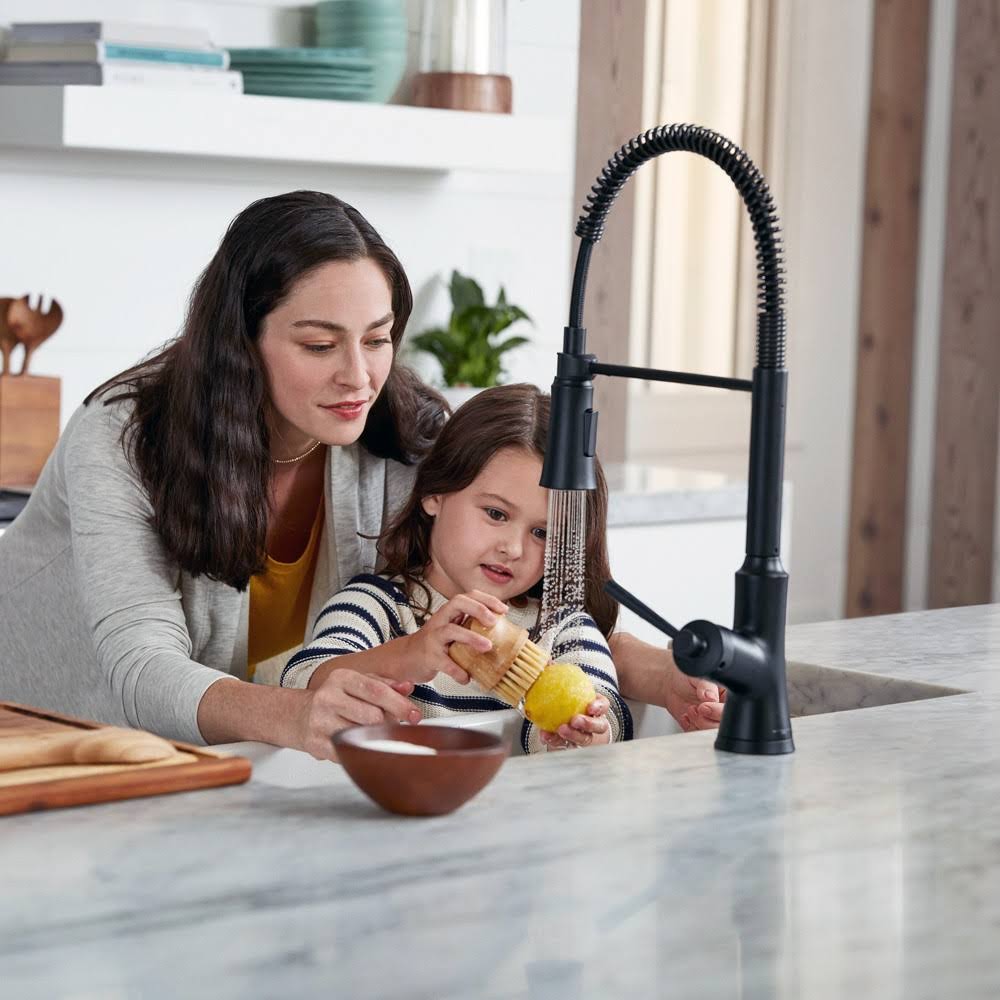 Steel Optic Kitchen Faucet T196