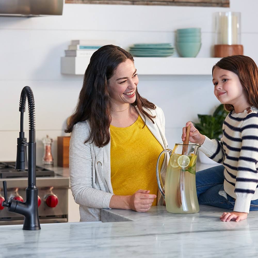 Steel Optic Kitchen Faucet T196